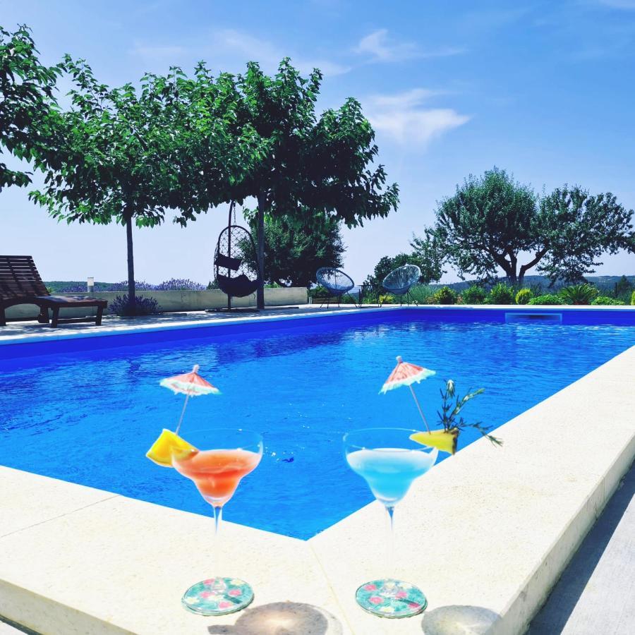 Villa Jelena 扎达尔 外观 照片